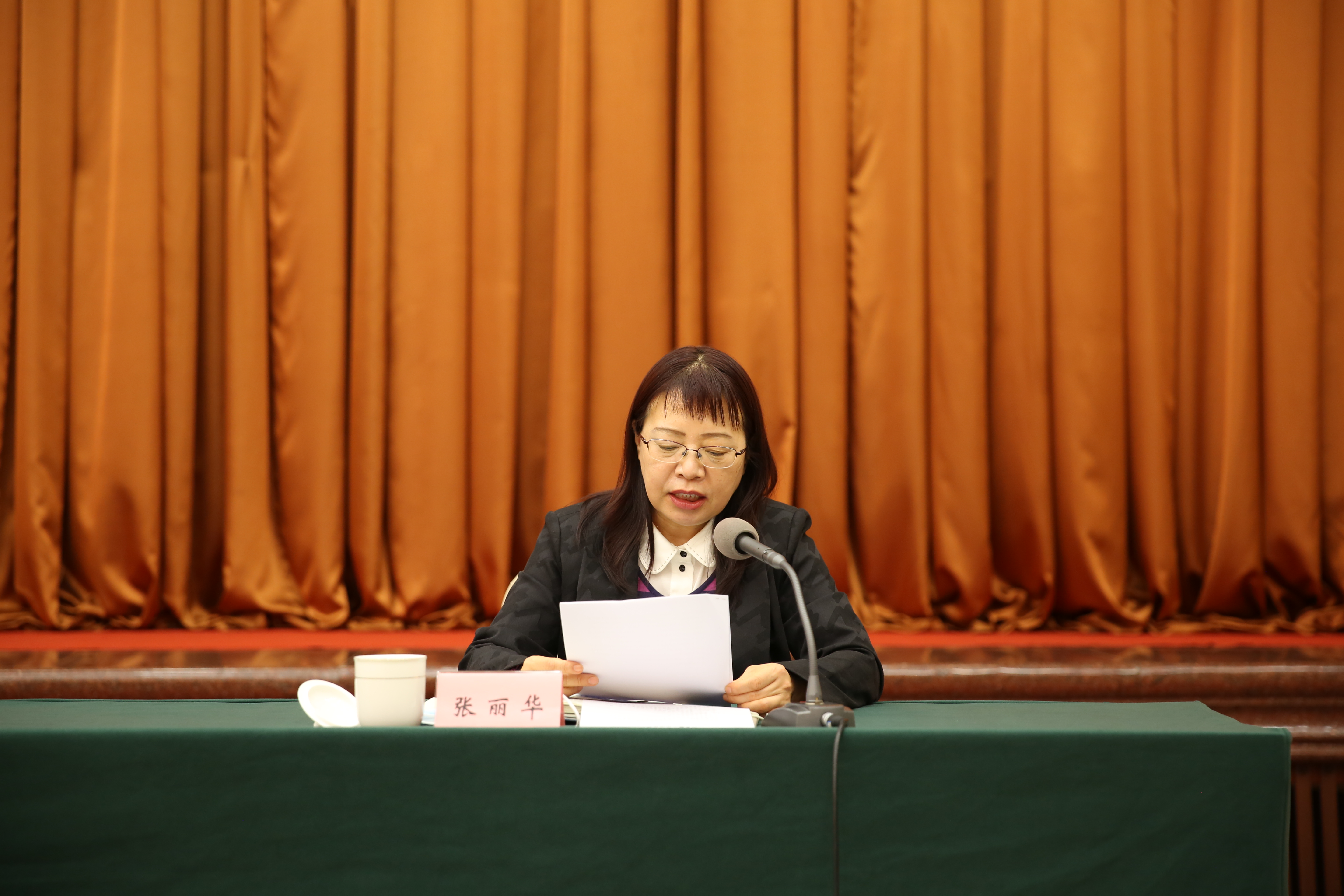 10月26日省督查組副組長2M2A1168.jpg