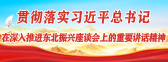 貫徹落實(shí)習(xí)近平總書(shū)記在深入推進(jìn)東北振興座談會(huì)上的重要講話(huà)精神